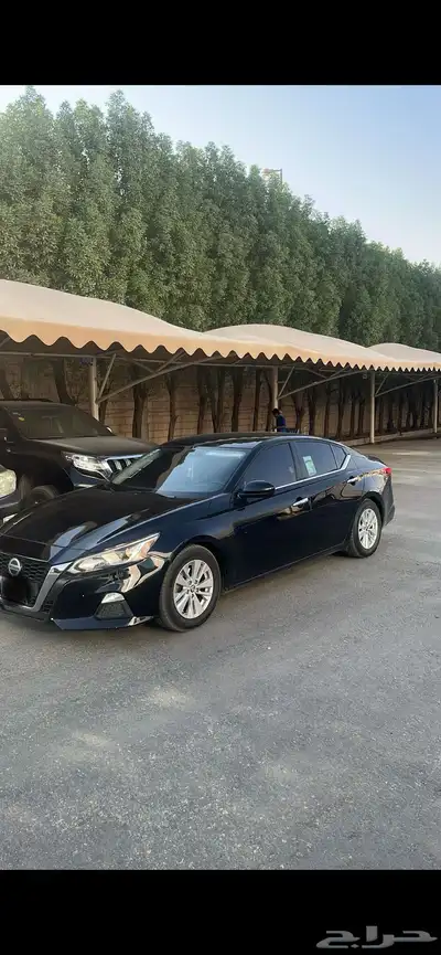 التيما 2020 1