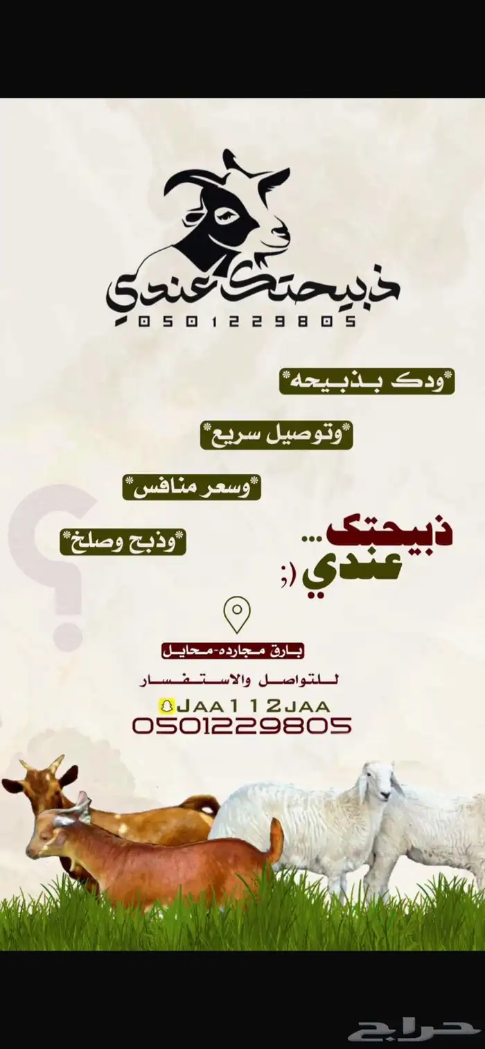 ذبايح للبيع 0