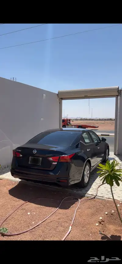 التيما 2020 0