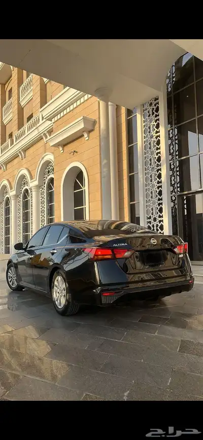 التيما 2020 3