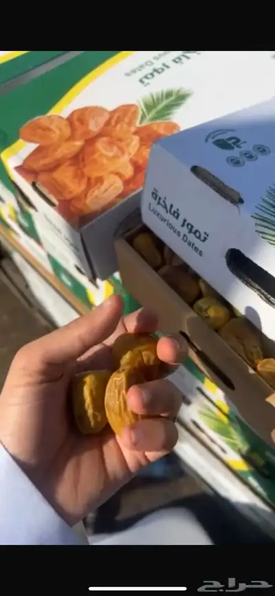 تمر 1