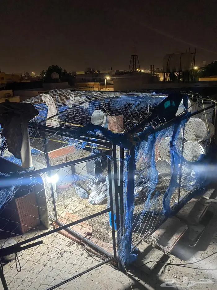 المدينة 0