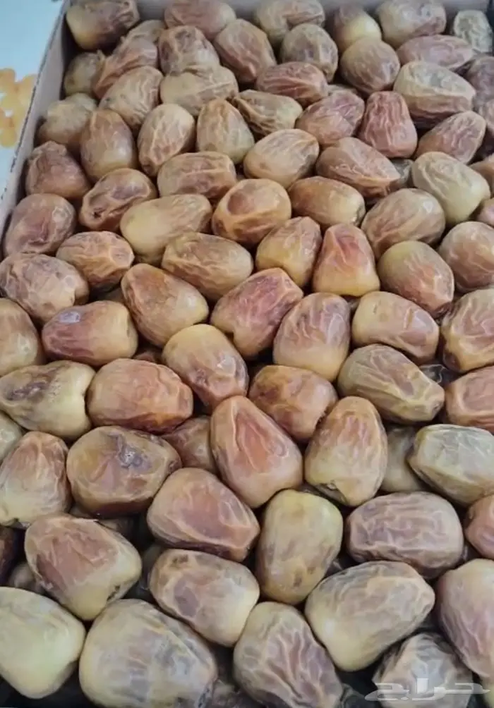 تمر سكري فاخر ومتنوع من مزارعنا بالقصيم بريدة الغماس 4