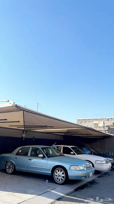 جلي جنوط فالاحساء 0