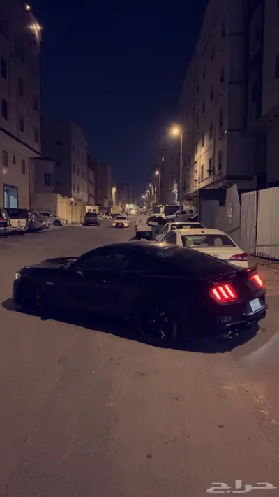 موستنق 2015 1