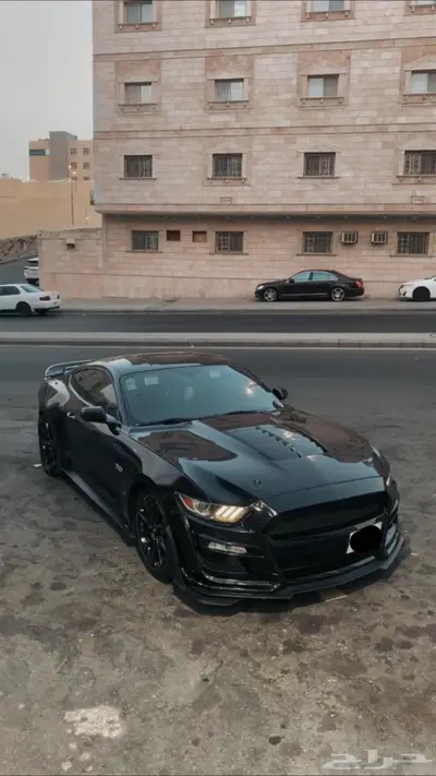 موستنق 2015 0