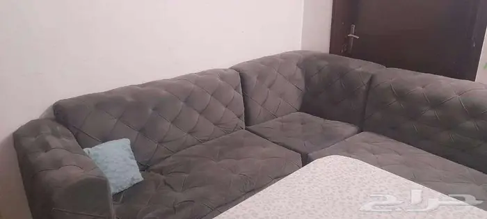 مجلس ارضي رمادي غرفة نوم 6