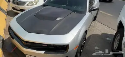 كبوت كمارو 0