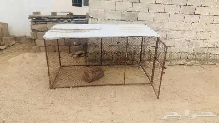 شبك 2  1 نضيف 2