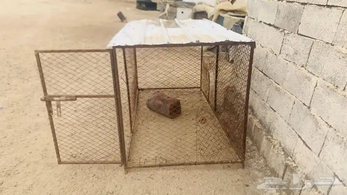 شبك 2  1 نضيف 1