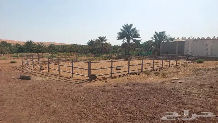 اسطبل خيل 0
