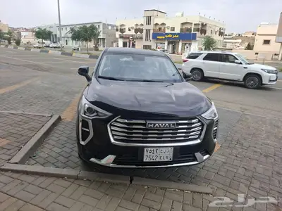 هافال جوليان 2024 0