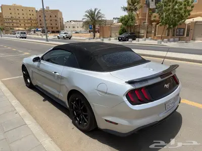 فورد موستنج كشف 2018 بسعر 65.000 فرصه استثماريه نزول الحد 4