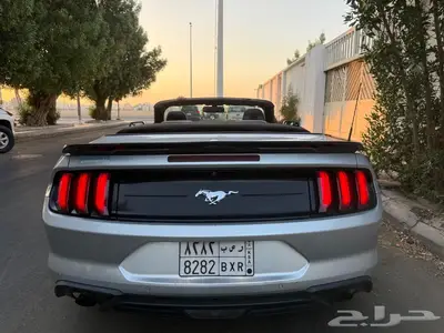 فورد موستنج كشف 2018 بسعر 65.000 فرصه استثماريه نزول الحد 10