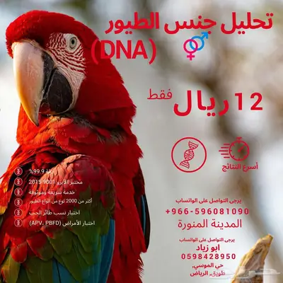 تحليل DNA جنس جميع انواع الطيور عن طريق الريش 1