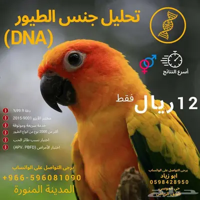 تحليل DNA جنس جميع انواع الطيور عن طريق الريش 2