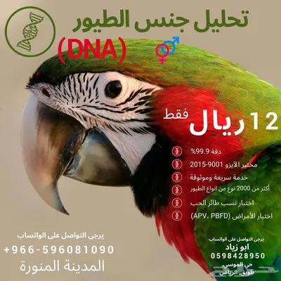 تحليل DNA جنس جميع انواع الطيور عن طريق الريش 0