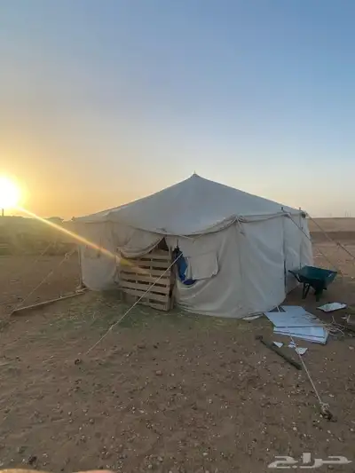 مراح كامل للبيع 4