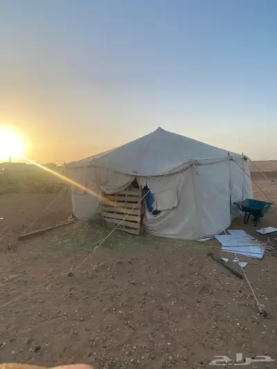 مراح كامل للبيع 7