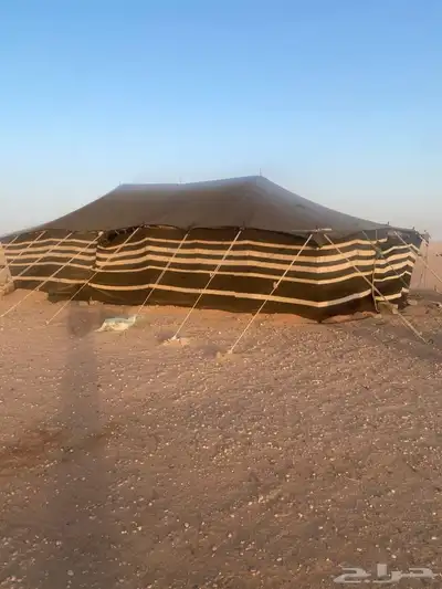 مراح كامل للبيع 5