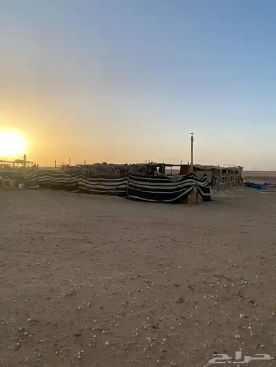 مراح كامل للبيع 12