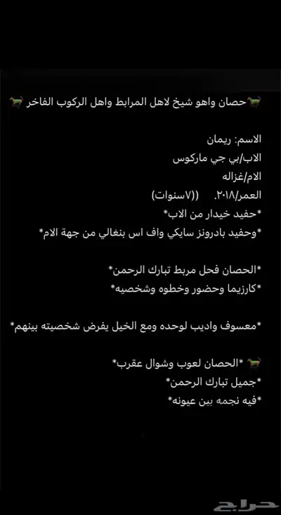 حصان واهو شيخ باقي التفاصيل بالصورة يوجد مقاطع بالواتس 1