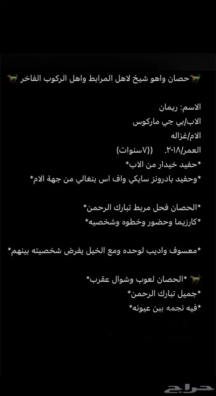 حصان واهو شيخ باقي التفاصيل بالصورة يوجد مقاطع بالواتس 1
