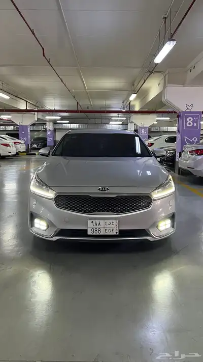 كادينزا 2018 8