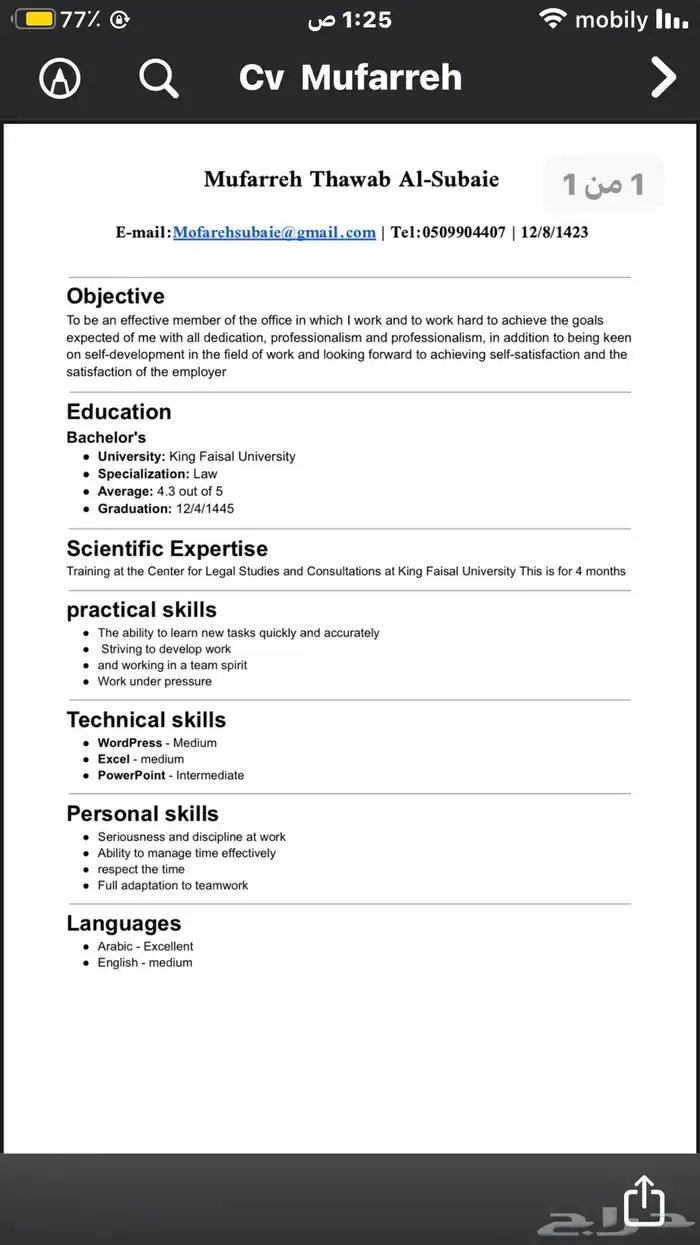 سيرة ذاتية ATS CV 13