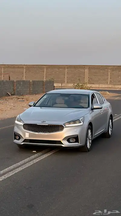 كادينزا 2017 0