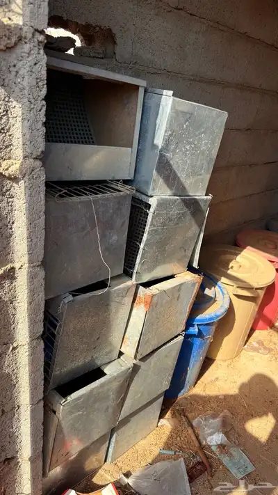 بيوت ولاده ارانب 1