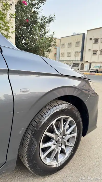 تم البيع 16
