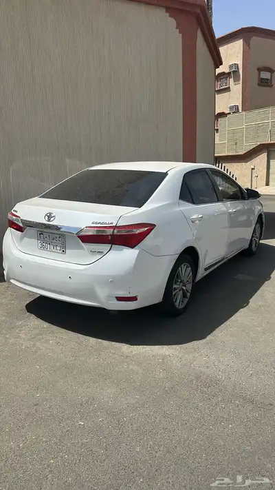 كورلا 2015 1