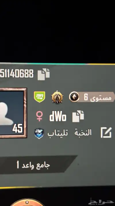 اسماء ببجي ثلاثية تصويت منزل 3