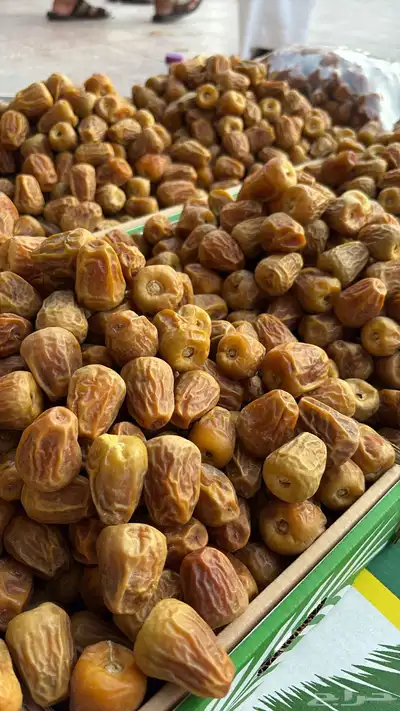 سكري مقتل فاخر حبة كبيرة 1