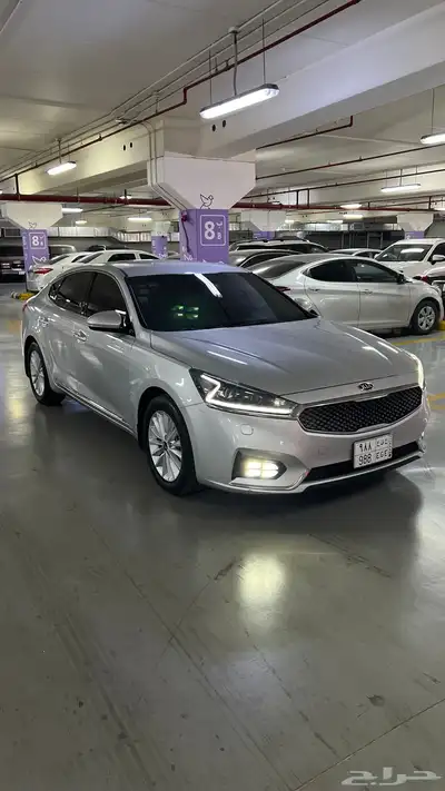 كادينزا 2018 6