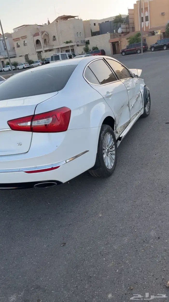 كادينزا 2015 1