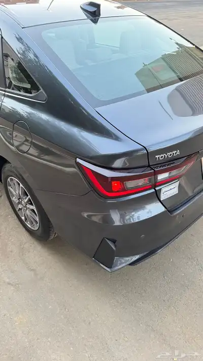 تم البيع 11