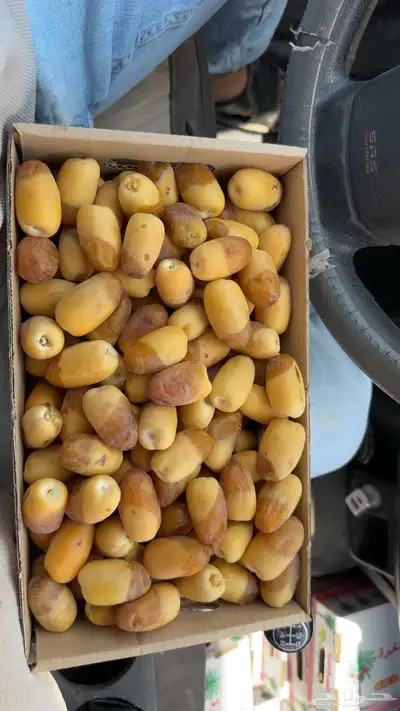 رطب إخلاص 1