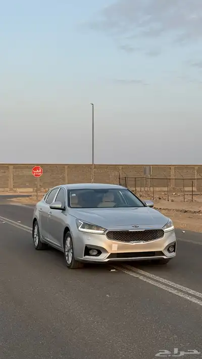 كادينزا 2017 1