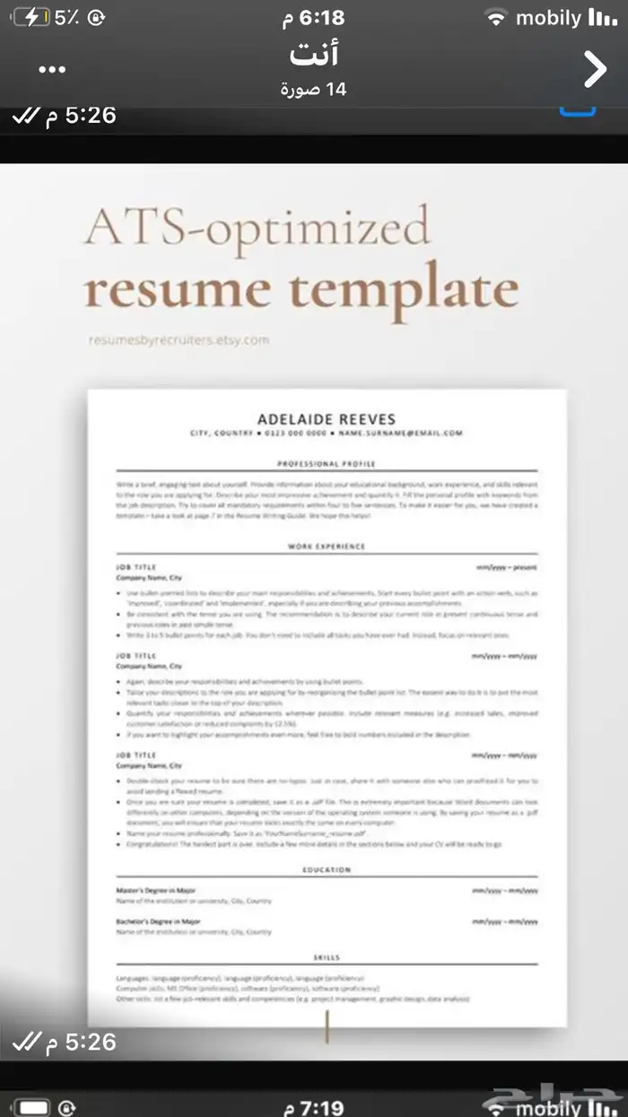 سيرة ذاتية ATS CV 3