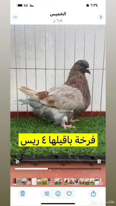 حمام فرش موندين 5
