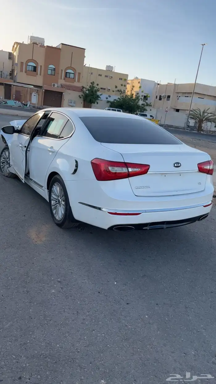 كادينزا 2015 0