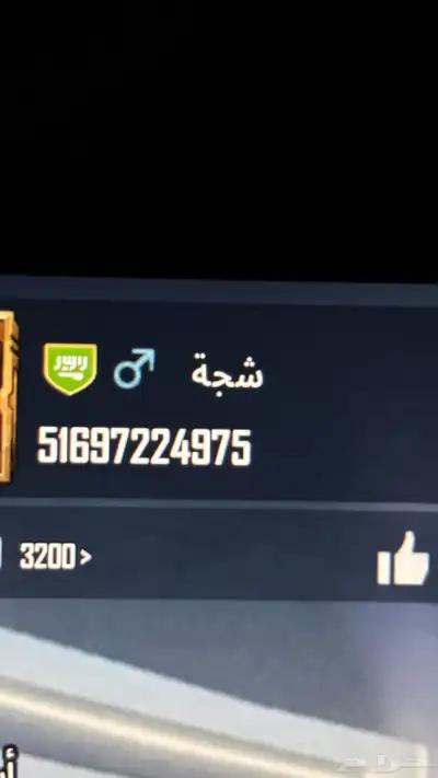 اسماء ببجي ثلاثية تصويت منزل 2
