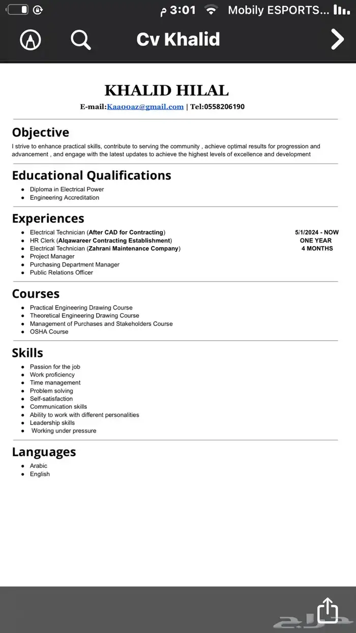 سيرة ذاتية ATS CV 8