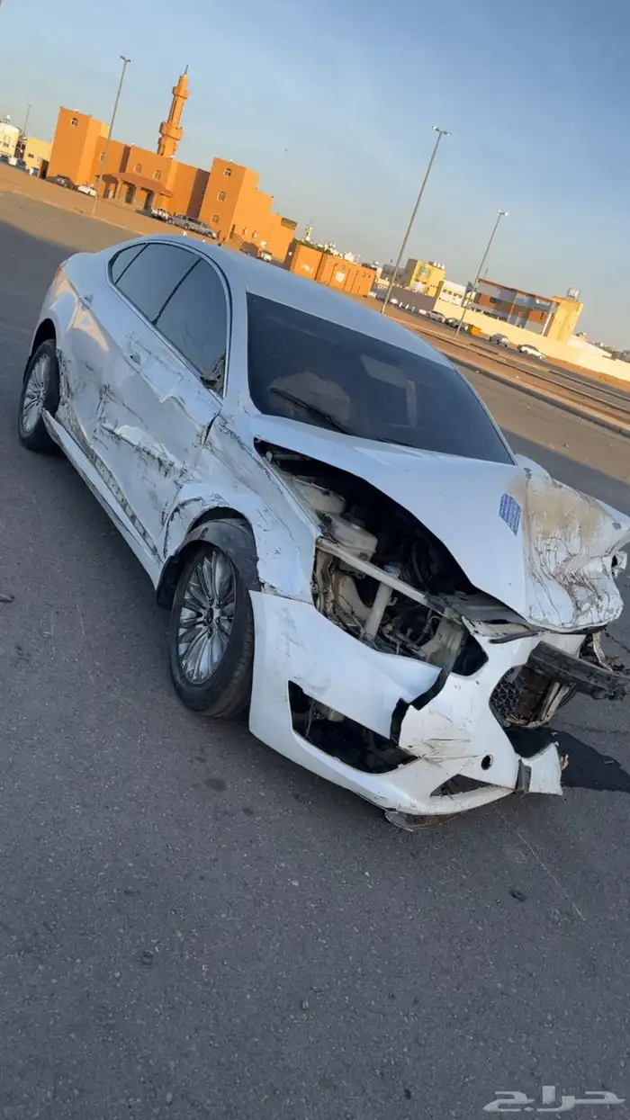 كادينزا 2015 3