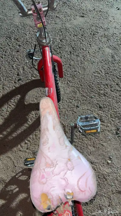 سيكل كوبره 2