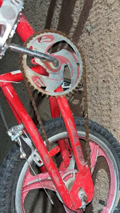 سيكل كوبره 1