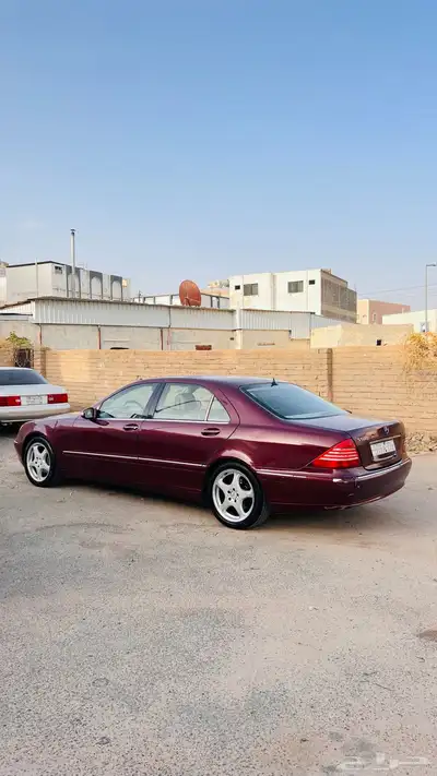 فياقرا 2003 14