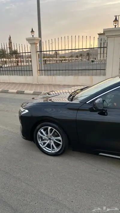 تورس ترند 2023 5